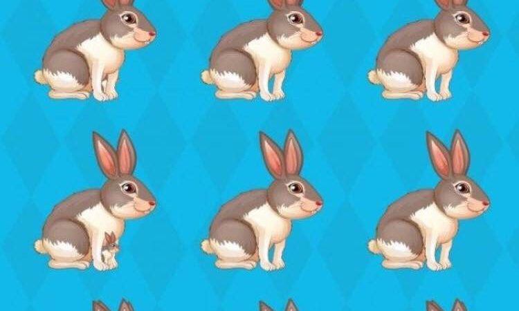 Ova mozgalica je osvojila internet-Koliko zečeva vidite na slici?