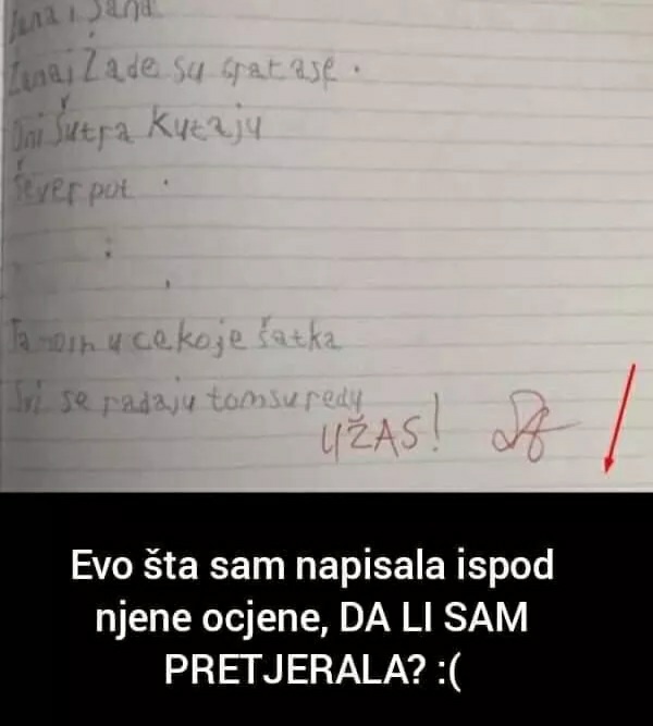 Učiteljica učeniku kao komentar na pismeni rad napisala “Užas!”-Pogledajte šta joj je majka odgovorila, da li je ispravno postupila!?