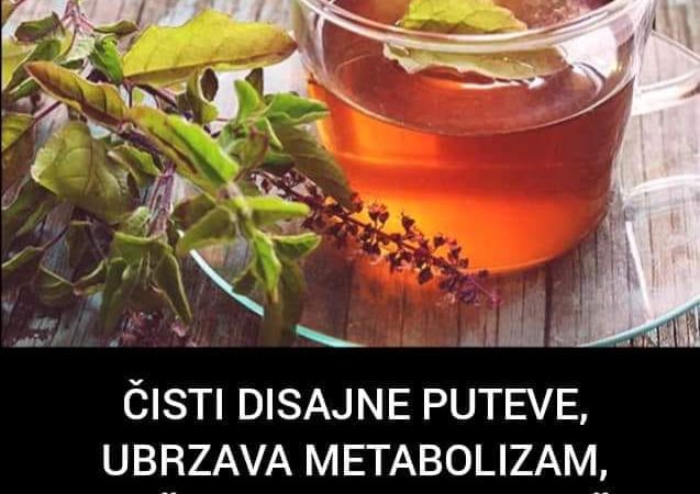 Čaj od ove biljke je čisto zlato, čisti disajne puteve, ubrzava metabolizam, odličan je za bubrege