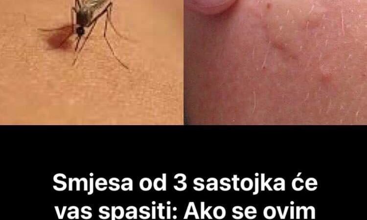 Pogledajte koja tri sastojka su vam potrebna za smjesu zbog koje bi komarci bježali od vas