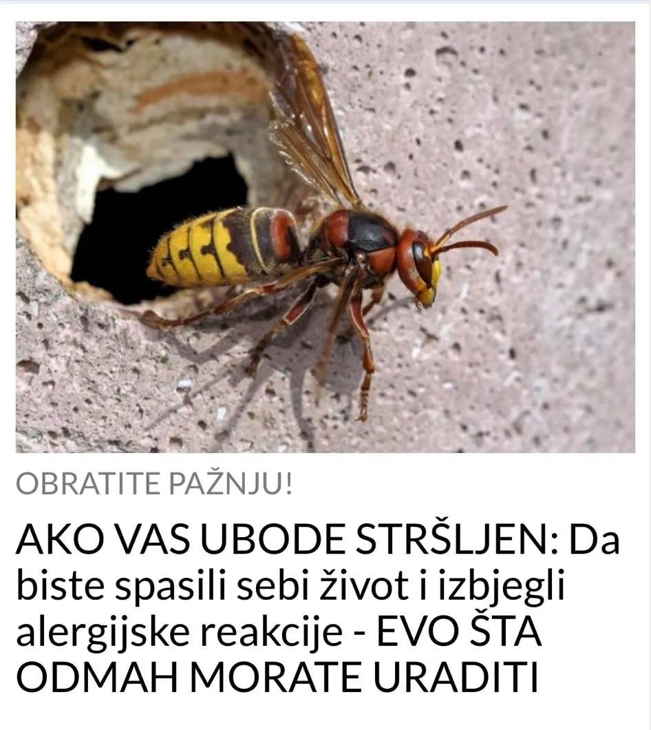 POGLEDAJTE STA TREBATE URADITI KADA VAS UGRIZE STRSLJEN