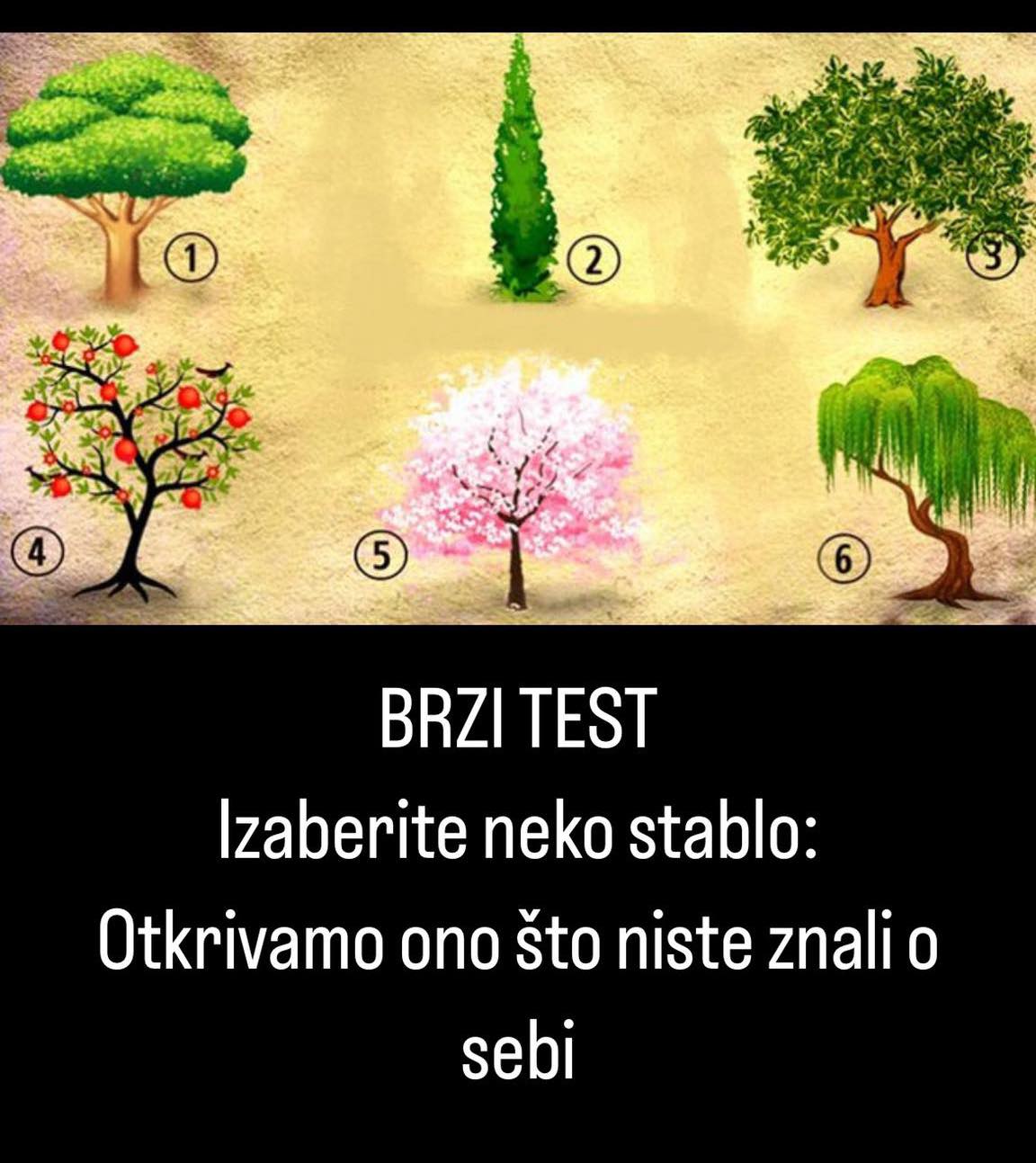 POGLEDAJTE NEŠTO VIŠE O SEBI