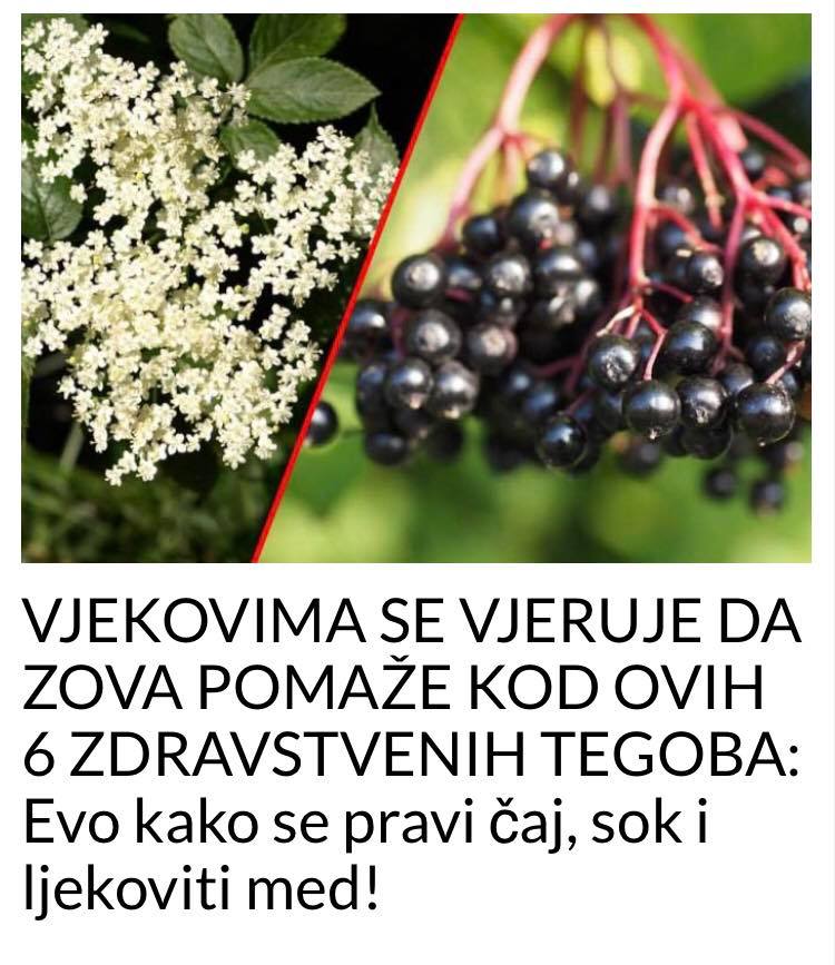 POGLEDAJTE KOJIH 6 ZDRAVSTVENIH TEGOBA RJEŠAVA ZOVA