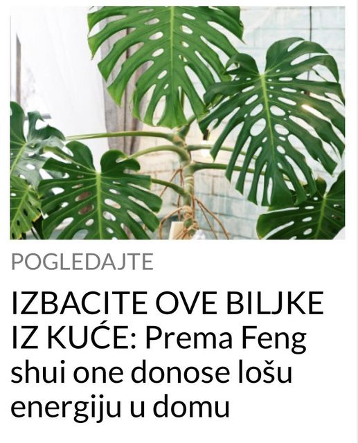 POGLEDAJTE KOJE BILJKE TREBATE IZBACITI IZ KUCE