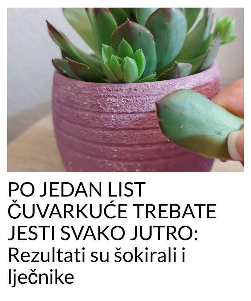 POGLEDAJTE STA SE DESI KADA SVAKO JUTRO JEDETE PO JEDAN LIST CUVARKUCE