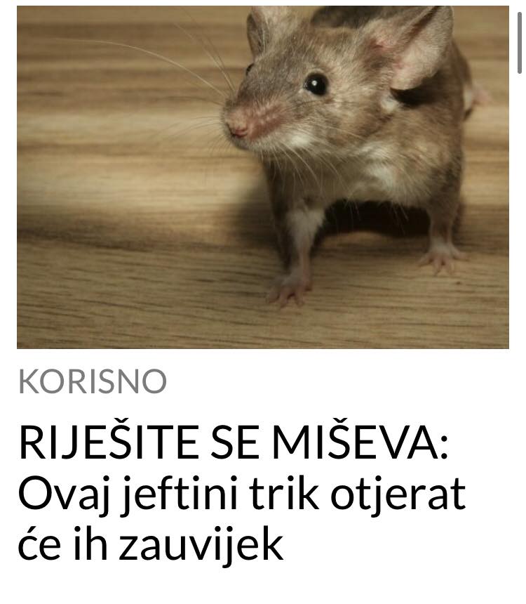 POGLEDAJTE KAKO DA SE RIJEŠITE MIŠEVA