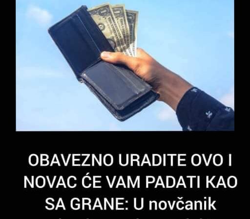 OBAVEZNO URADITE OVO I NOVAC ĆE VAM PADATI KAO SA GRANE: