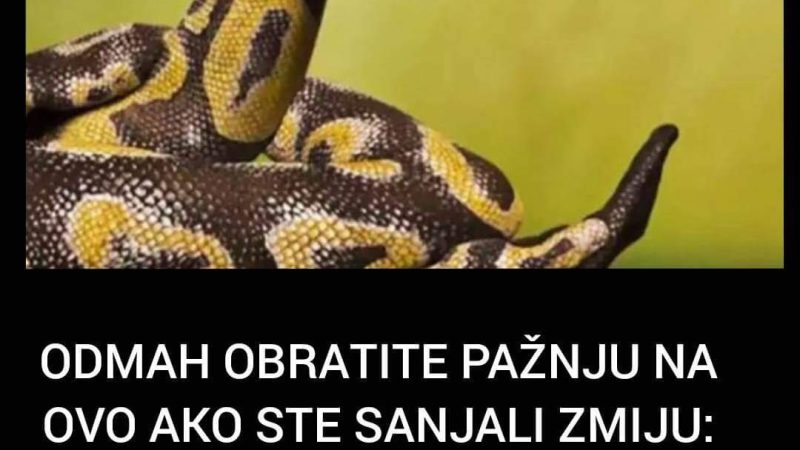 EVO STA ZNACI SANJATI ZMIJU