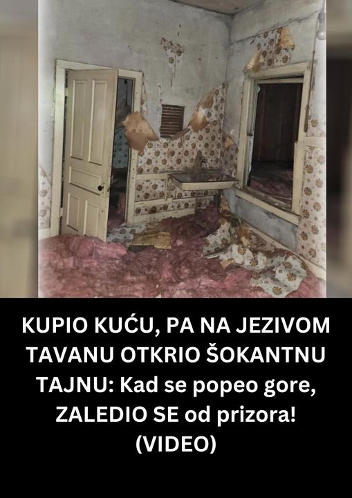 POGLEDAJTE STA VAS MOZE ZADESITI SA NOVOM KUCOM !